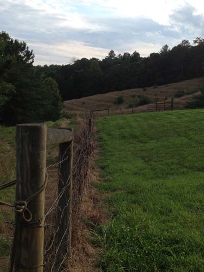 The Orchard Barn fence line, Event and Barn Wedding Venue