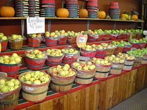 Farm store, apples and ciders, pies, caramel and candied apples, jams and jellies, bread, fritters,
		 cookbooks, candles