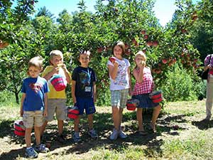 Pick Your Own apples at the Apple Barn
							 in the orchard in Ellijay, Ga